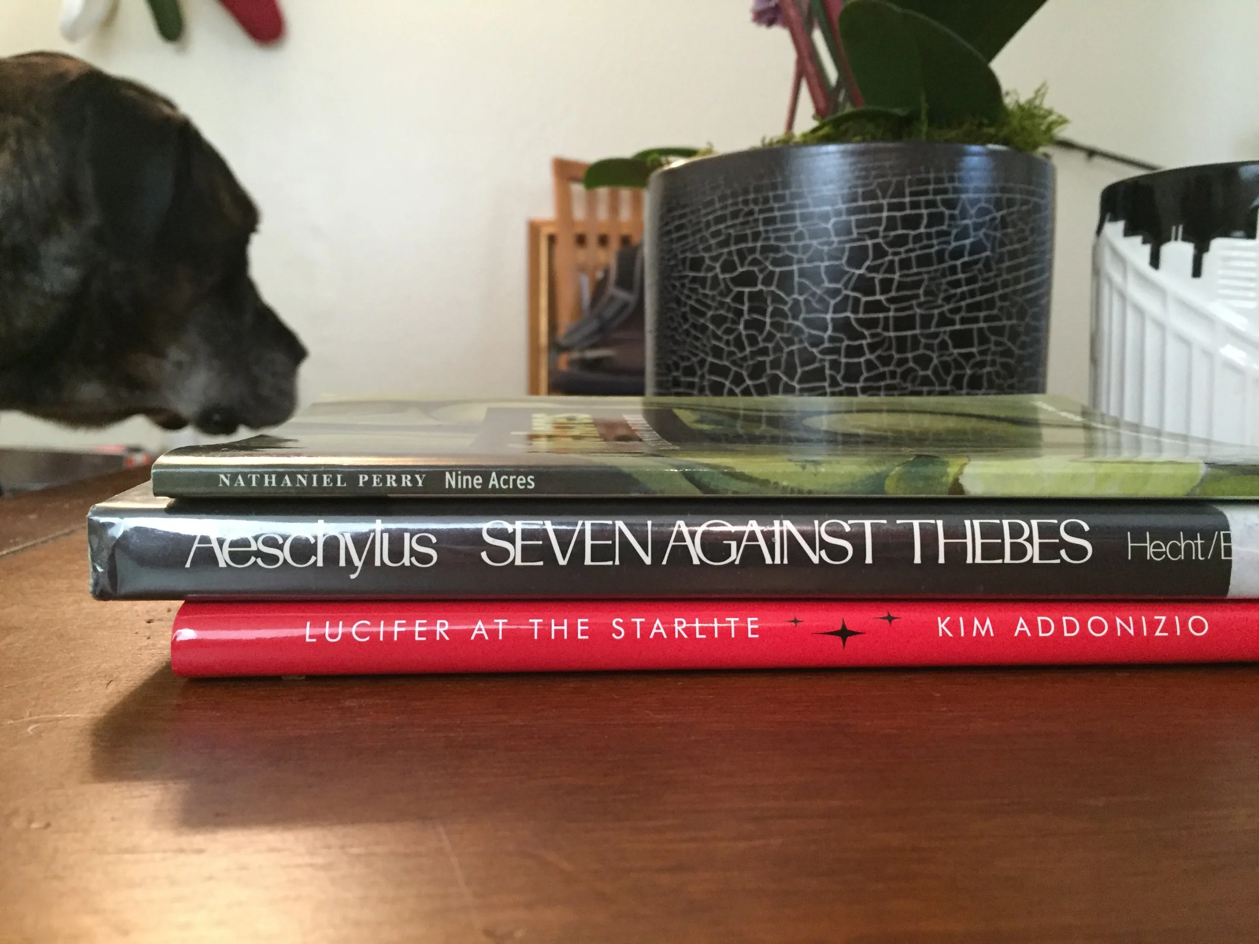 Saturday Morning: 3 Poetry Books for a Weekend