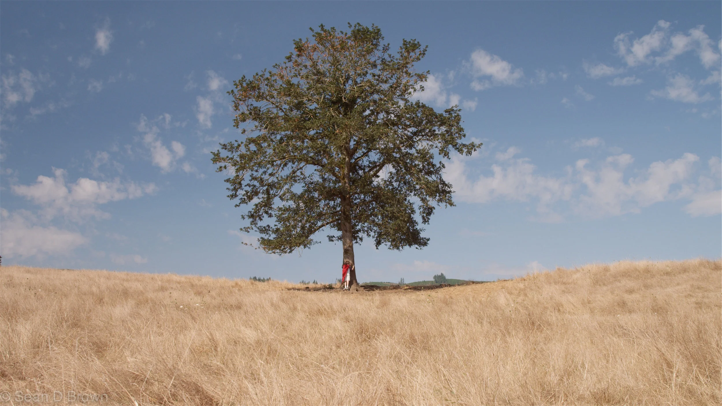 Reading American Gods and Measuring Cult Fiction